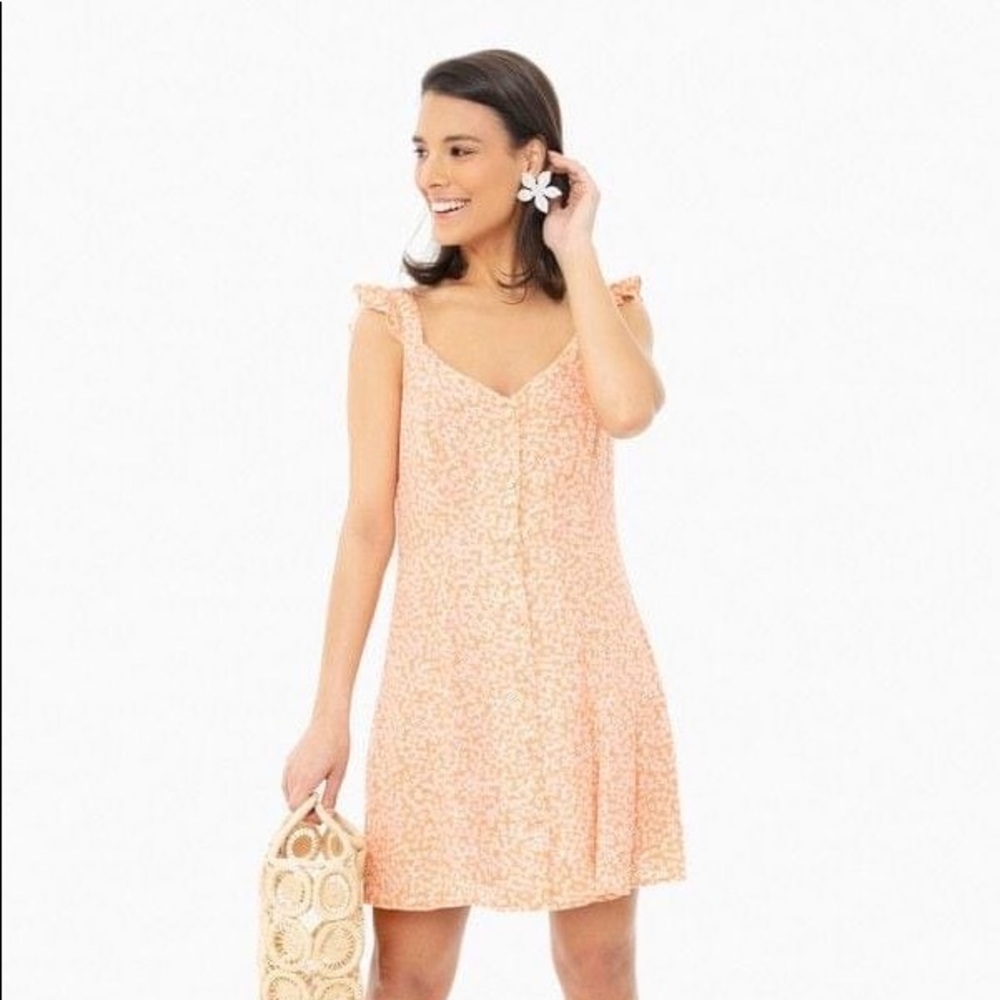 Tuckernuck Ashley Ann mini dress by le lis